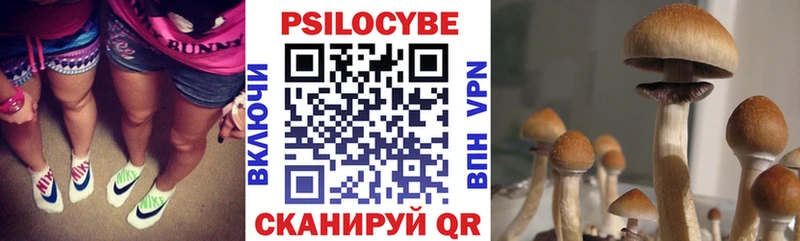 где продают Оханск Галлюциногенные грибы мицелий